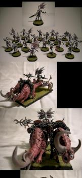 Slaanesh Daemonette Force by Dutch Mogul