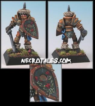 Old Citadel Paladin by EArkham
