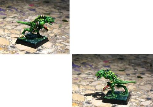 Skink by Skink Chief