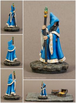 Anirion, Wood Elf Wizard (77068) by Dae