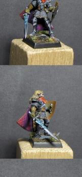Limited Selafyn High Elf Hero by Camelson by WhiteRavenFactory
