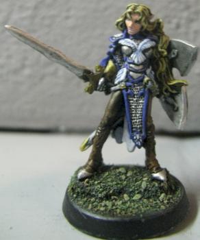 Reaper D&D Elf Paladin by daily4605