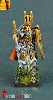 High Elf Hero by MiG