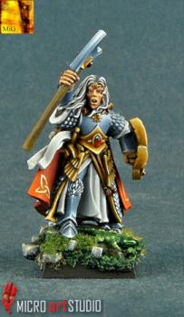 High Elf Hero by MiG