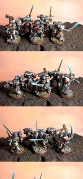 Strike Squad with Justicar by Sotnia