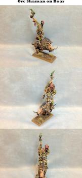 Savage Orc Shaman on Boar by hazelanne