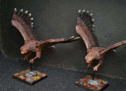 HE Eagles by exocorp