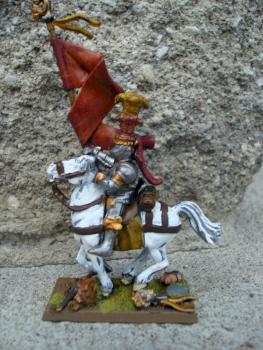 My knight in Shining Armour! by thecoolminiman