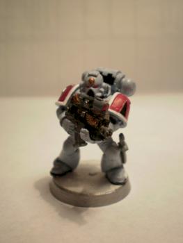 Space Wolves,Grey Hunter by BrotherHrolf