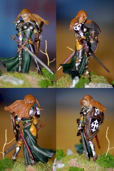 Female Paladin by Grumm