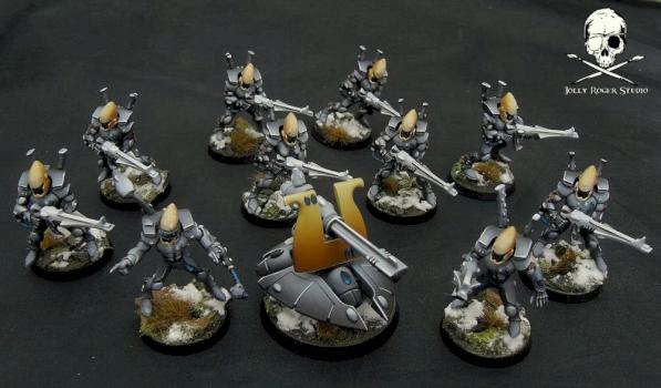 Eldar Guardians by Jolly Roger Studio