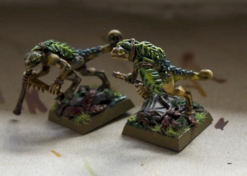 Chameleons skinks brown by puszkin