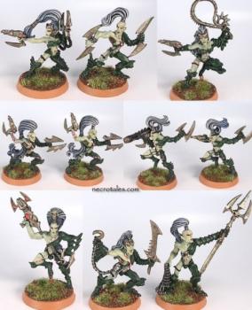 Dark Eldar Army 60+ Figures by EArkham