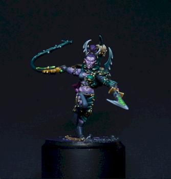 Dark Eldar Succubus by MaGie