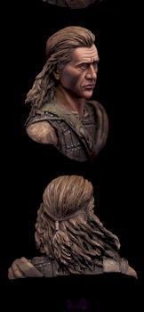 Scottish Highlander by Cash Wiley