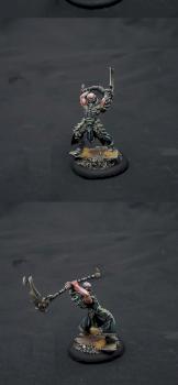 Darragh Wrathe by Jolly Roger Studio