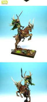 Wild Riders Champion by piterminiatures