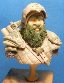 Dwarf Warrior BUST by Gotrakk