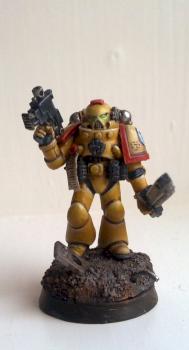 Imperial fists veteran by Troll kim