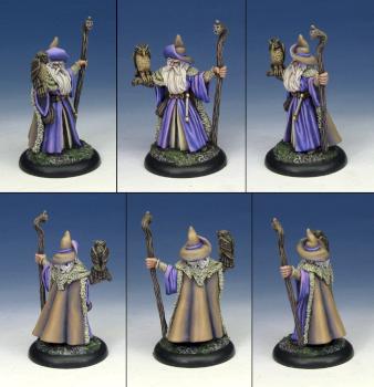 REAPER Wizard with owl familiar by Celthulhu