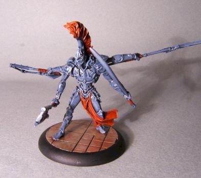 Nova cynwall by little wing