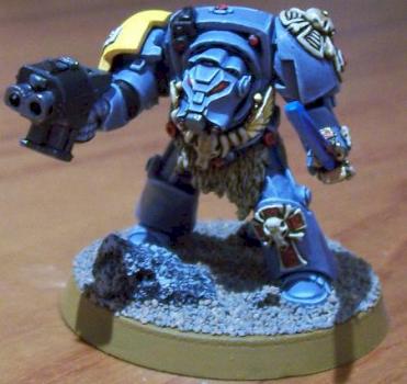Wolf Guard terminator conversion by paladian