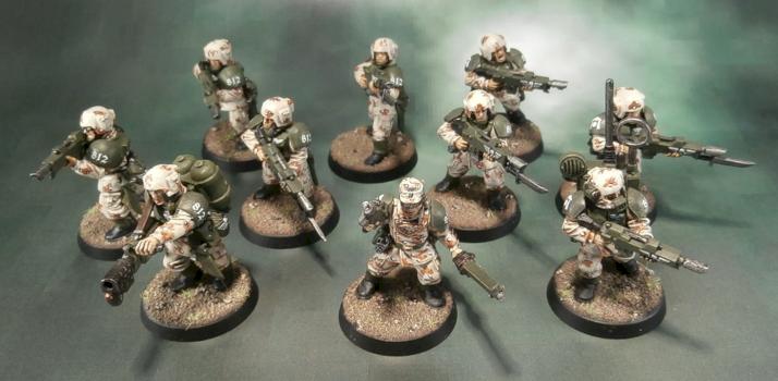 Imperial Guard Desert Camouflage by Elmo9141