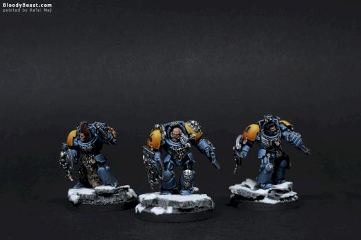 Space Wolves Lone Wolves by BloodyBeast.com