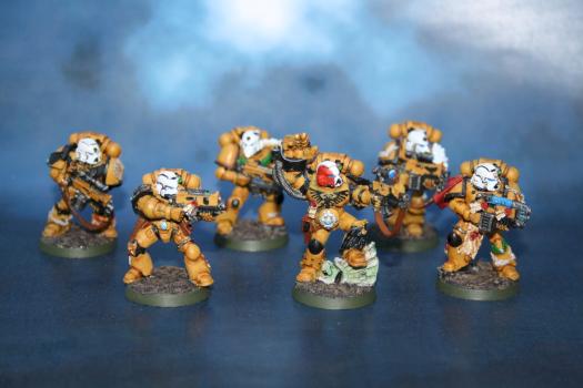 Imperial Fists Sternguard Veteran by Alberto G