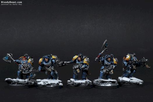 Space Wolves Wolf Guards by BloodyBeast.com
