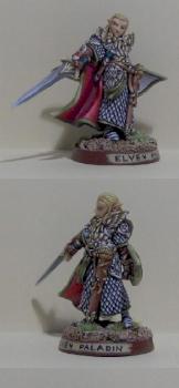 Elven Paladin by jupi21