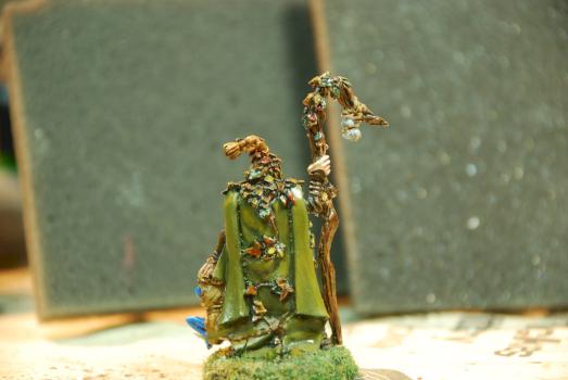 Wood Elf Spellsinger by Greshan