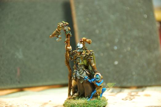 Wood Elf Spellsinger by Greshan