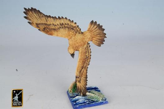 Screaming Eagle by Chris Yu