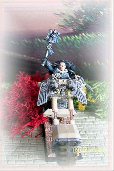 MARINE CHAPLIN by nobby2003