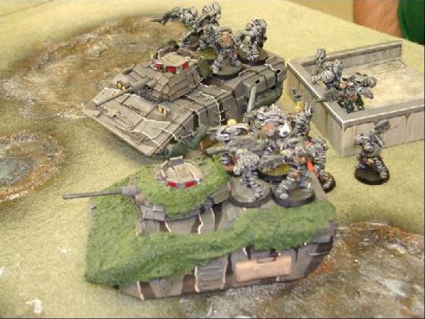 Tigerwolves assault ! by Tigrou from FW
