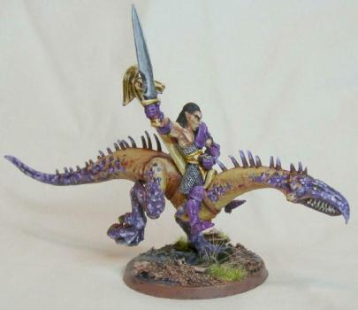 Elf Dragon Rider by chaney