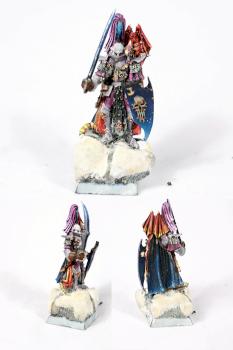 Dark Elves Noble Hero by Nedar