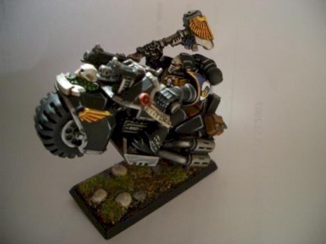 Ultramarines Chaplain II by RangerRob