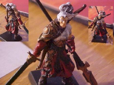 Paladin Guardia del Mar by Gaijin