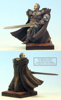 paladin de justice by nhoj