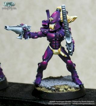 Eldar Storm Guardian detail by Corvus