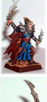 Dark Elf Corsair by macrender