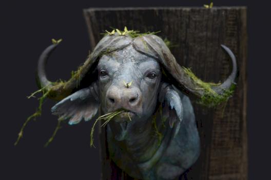 Water Buffalo by jarhead