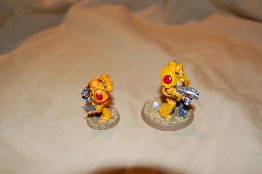 Angry Marines by Coldstreamer