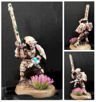 Steppentarn T'au Fire Warrior by El Mutanto
