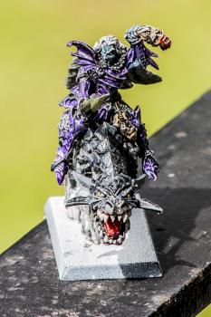 Dark Elf Rider by Jawsofhana