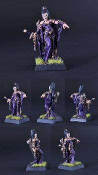 Druchii Dreadlord Lady Arkaneth by jarvax