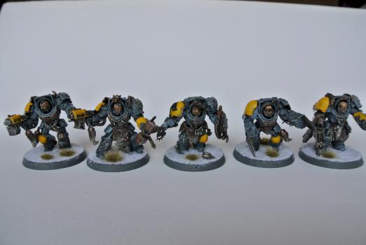 Space Wolves Wolf Guard Terminators by Berengar