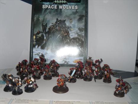 Spacewolves Starter/Booster Army by TyranidPainter